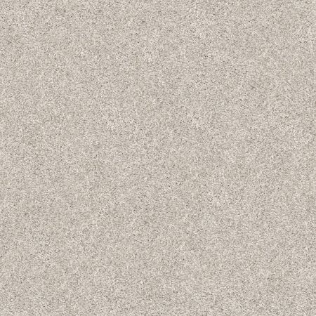 Shaw Floors Pet Perfect Plus Xz192 Serene Still