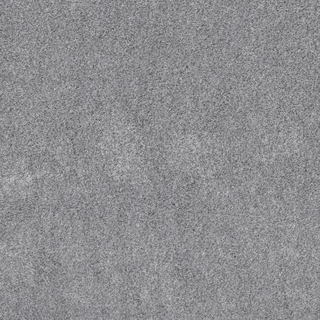 Shaw Floors Pet Perfect Plus Xz192 Silver Lining