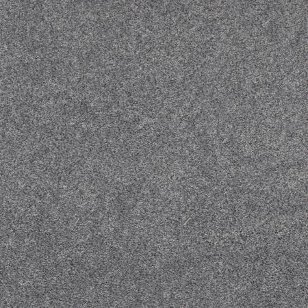 Shaw Floors Pet Perfect Plus Xz192 Stormy Breeze