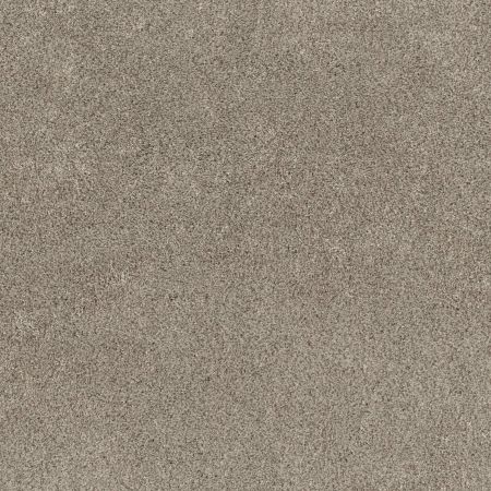 Shaw Floors Pet Perfect Plus Xz192 Desert View