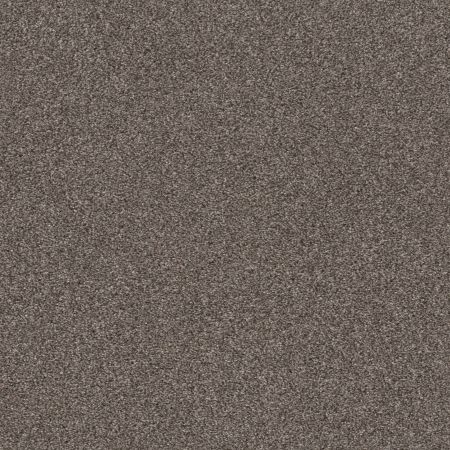 Shaw Floors Xz193 Antelope