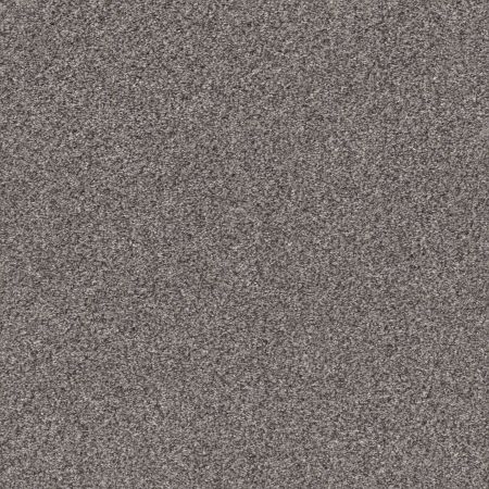 Shaw Floors Pet Perfect Plus Xz194 Harbor Dock