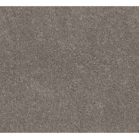 Shaw Floors Pet Perfect Plus Xz194 Desert View