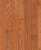 Armstrong Ascot Plank Topaz 3 1/4 in Topaz 5288T