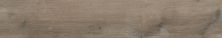Emser Legacy Porcelain Matte Havana A40LEGAHA0847