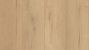 Shaw Coretec Plus Enhanced Plank 7″ Calypso Oak