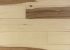 Appalachian Flooring Verita Random Virtuoso 3483212R9