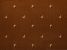 Kane Lucerne DARK GOLD LCRNDRKGLD