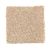 Mohawk Neutral Shades II Beechnut 2N89-742