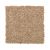 Mohawk Neutral Shades II Warm Nutmeg 2N89-752