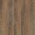 Pergo Extreme Wood Fundamentals Single Strip Ridley PT006-820