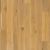 Mohawk Tecwood Plus Brendwood Caramelized Oak WEK62-851
