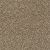Shaw Floors Simply The Best All About It Honey Bear 00200_5E038