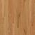 Shaw Floors Dr Horton Blairsville 3.25 Red Oak Natural 00700_DR650