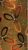 Philadelphia Commercial Call Of The Wild GROMMETS Brass Ring 04200_54504