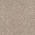 Shaw Floors Simply The Best AFTER IT II Neutral Ground 00101_5E258