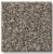 Shaw Floors Pet Perfect YES YOU CAN I 12′ Soft Sense 00112_5E568