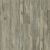 Shaw Floors Nfa HS Dover Roma 00507_VH537