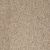 Anderson Tuftex Classics Serendipity I Berber Heather 0174B_Z6813