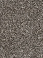 Dreamweaver Trendsetter I Textured Cut Pile Imperial Sable 3640_134