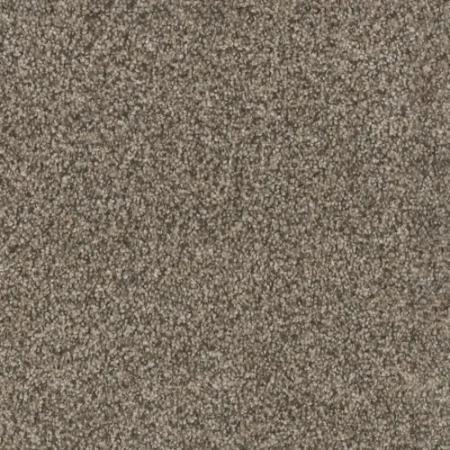 Dreamweaver Trendsetter I Textured Cut Pile Trail Creek 3640_398
