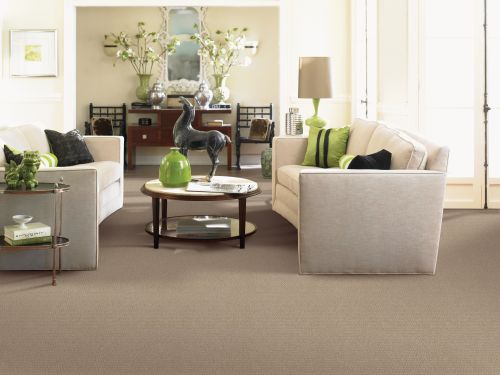 Mohawk Smartstrand Natural Intuition Earthworks 2H01-506