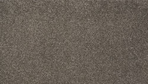 Karastan Smartstrand Authentic Glamour Expedition 3I48-9863