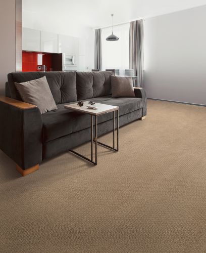 Mohawk Smartstrand Quality Space Haven 3L74-758