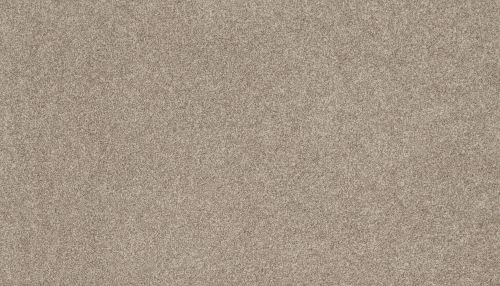 Mohawk Everstrand Timeless Saga I Dusky Willow 3L93-817