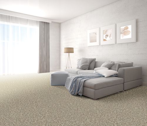 Mohawk Petpremier Raise The Woof II Pebble Trail 3M35-959