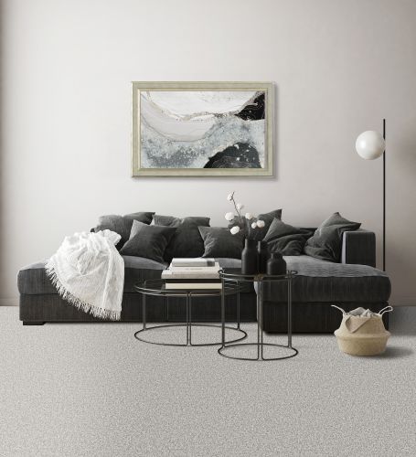 Mohawk Petpremier Purrsonality I Highway 3M36-957