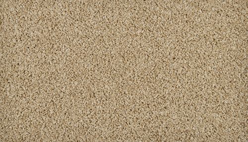 Mohawk Everstrand Sleek Tones Warm Almond 3N43-725