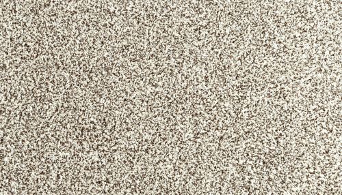 Mohawk Everstrand Assorted Elements I Quiet Light 3N58-718