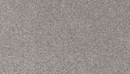 Mohawk Petpremier Canine Comfort Pebble Path 3N78-959