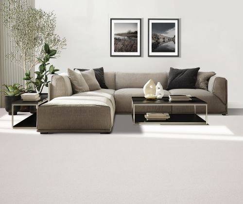 Mohawk Smartstrand Quality Living II Buffed 3O66-727