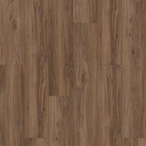 Aladdin Commercial Solidtech Eldergrave Court Loggerhead Oak EGC23-880