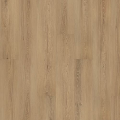 Mohawk Solidtech Plus Eastbrook Shoals Candice SDP11-211