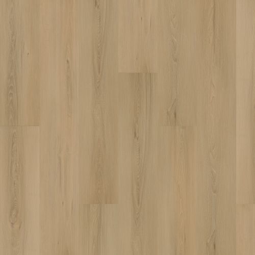 Mohawk Solidtech Plus Eastbrook Shoals Hampton SDP11-427
