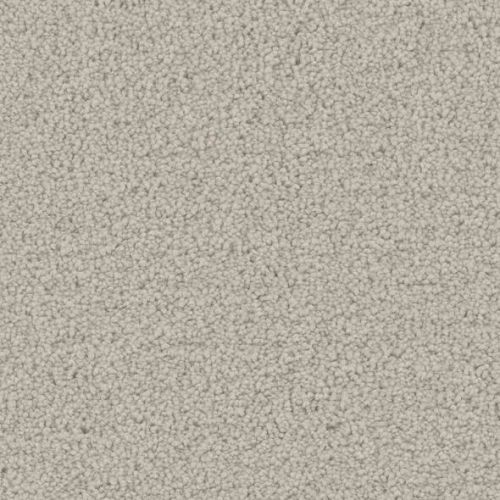 Phenix Mateo Trendsetter FP006-111