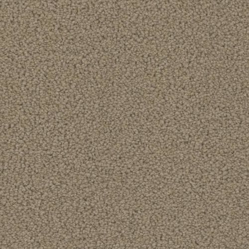 Phenix Mateo Elegance FP006-822