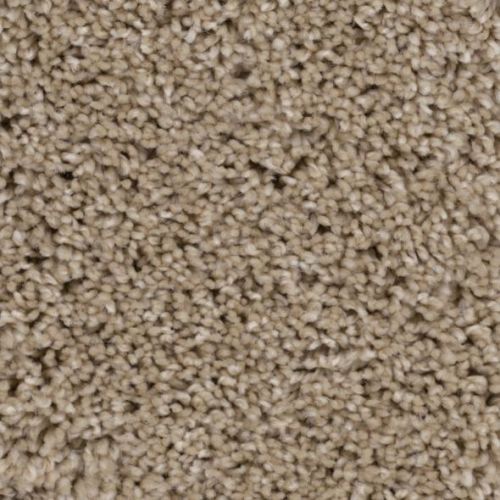 Phenix Ridgeview Arrow N254-21