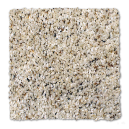 Phenix Griffith Park Freshwater Shell ST133-102