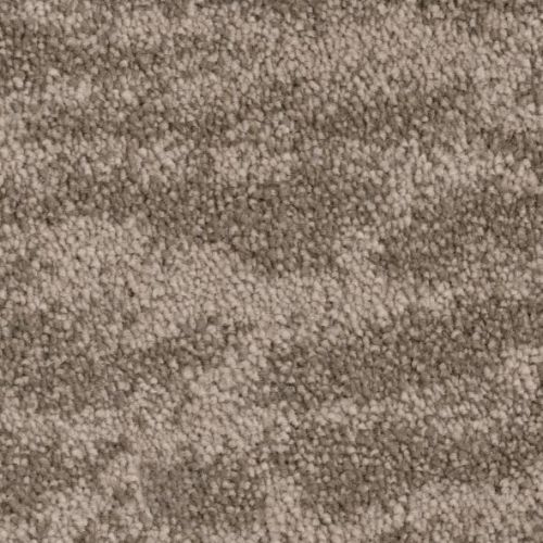 Phenix Aficionado Adept ST173-846