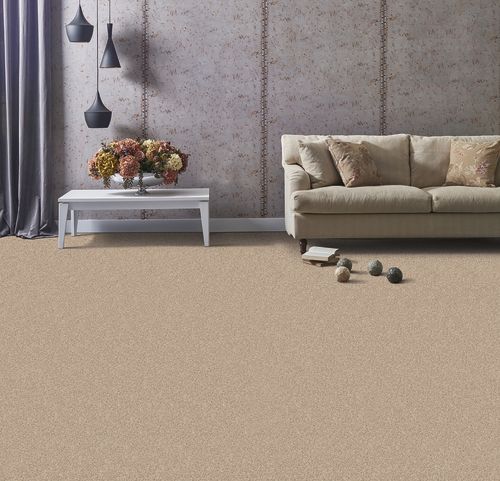 Phenix Essential Central N272-711