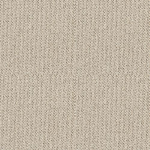 Shaw Floors Foundations Smart Thinking Alabaster 00172_E9725