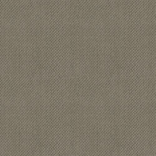 Shaw Floors Shaw Flooring Gallery Subtle Shimmer Loop Rocky Coast 00750_5568G