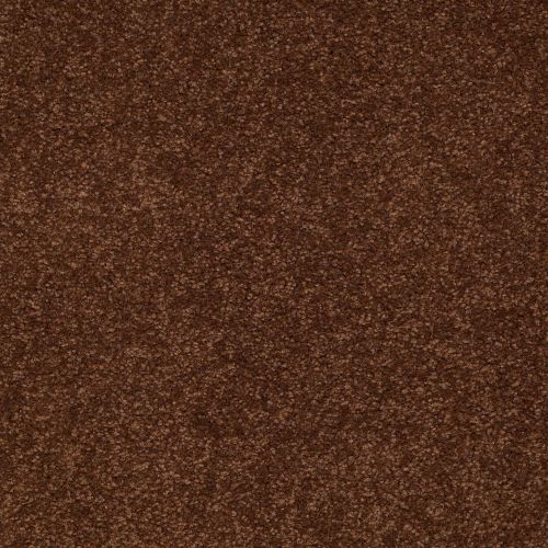 Shaw Floors SFA Shingle Creek Ii 15 Tortoise Shell 00707_EA515