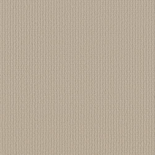 Shaw Floors Shaw Flooring Gallery Fast Lane Canvas 00103_5511G