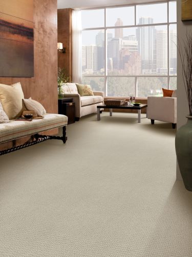 Shaw Floors Shaw Flooring Gallery Fast Lane Canvas 00103_5511G