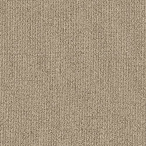 Shaw Floors Shaw Flooring Gallery Fast Lane Frost 00104_5511G